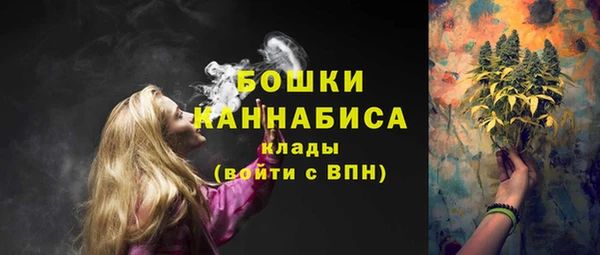 Альфа ПВП Осинники