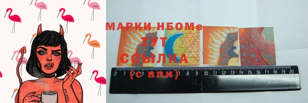 амф Осташков