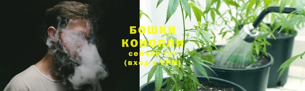трава Чекалин