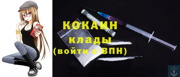 амф Осташков