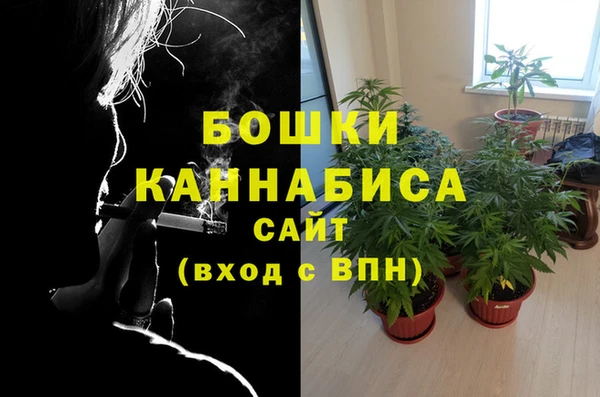 амф Осташков