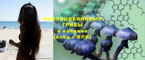 амф Осташков