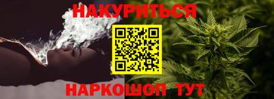 дживик Бийск