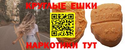 дживик Бийск
