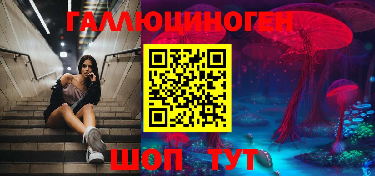 Галлюциногенные грибы мухоморы Губаха