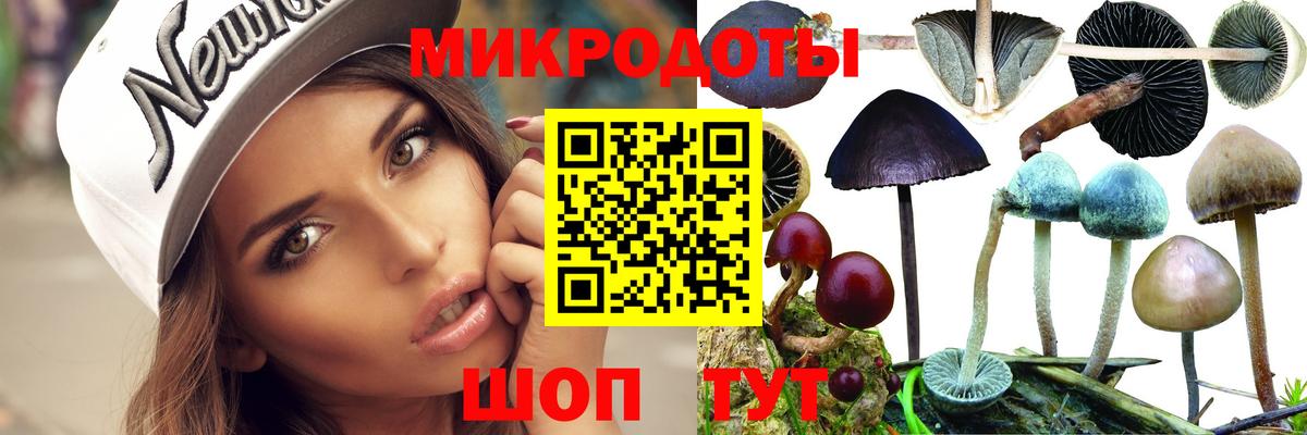 Галлюциногенные грибы прущие грибы  Вход с VPN  Губаха 
