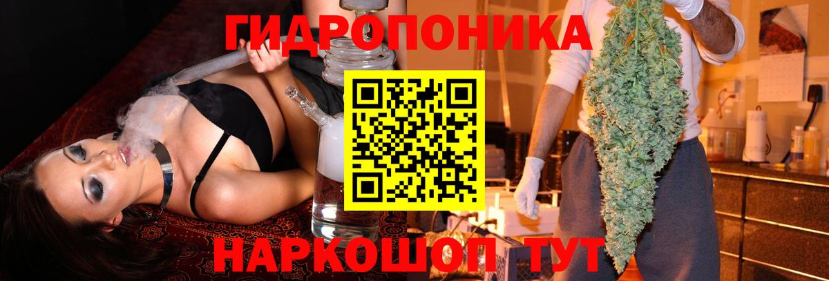Губаха  Каннабис сатива  Бошки марихуана VHQ  Шишки марихуана конопля  Вход с VPN 